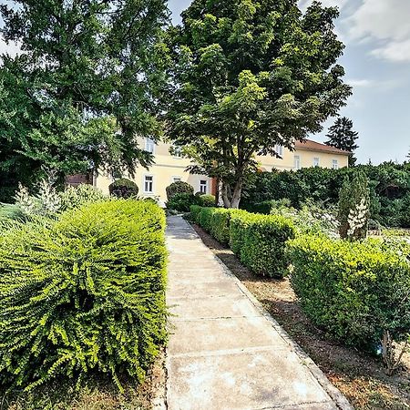 Misefa Kastely Bed & Breakfast Exterior photo